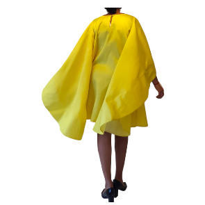 Silk Dress With Wings Poncho Dress
