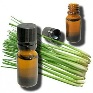 Lemongrass (Organic) Essential Oil 1 oz. - Alkebulan Lifestyle